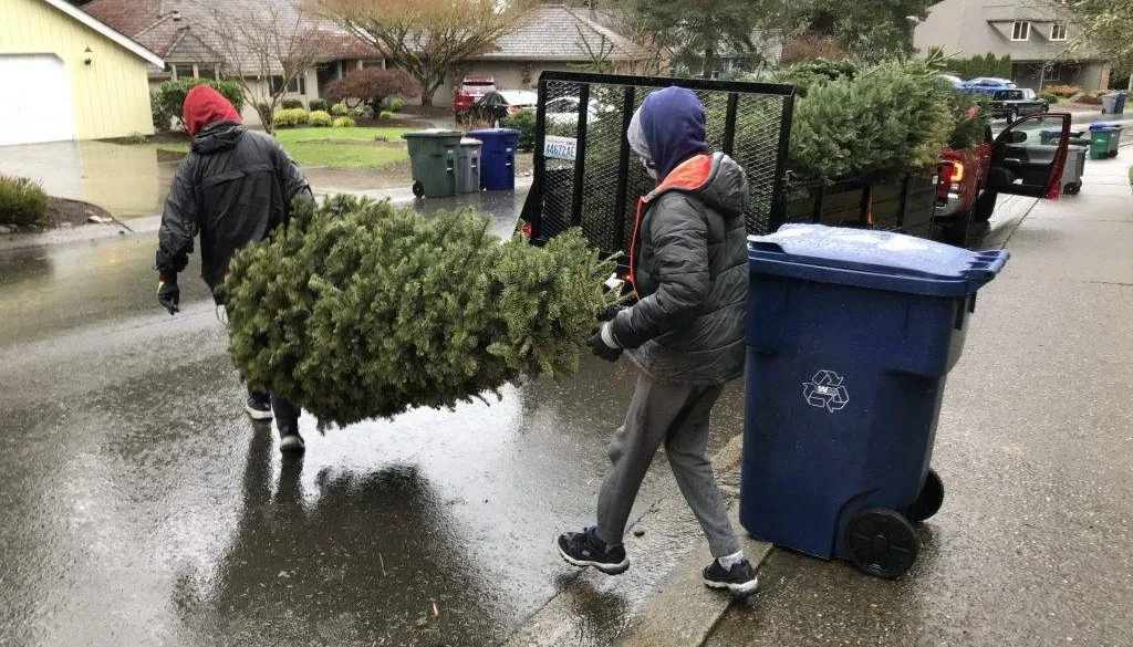 Christmas Tree Disposal and Junk Removal Services