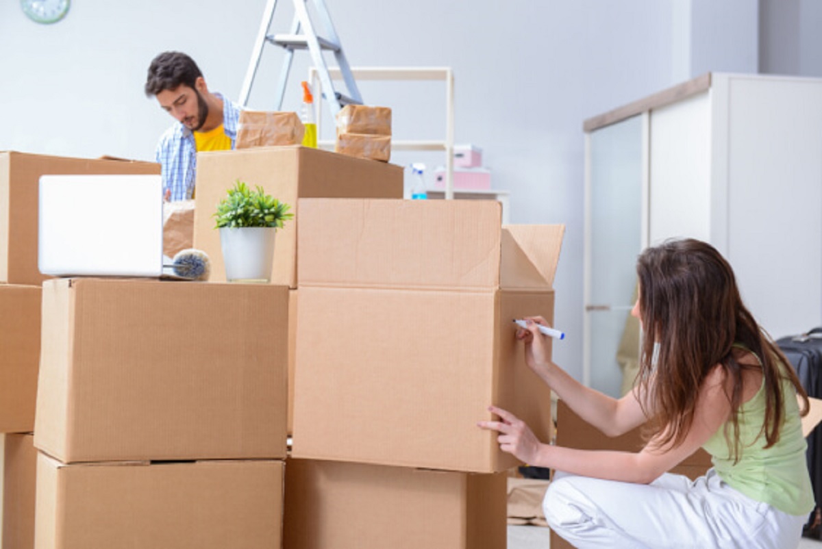 Best Domestic Movers